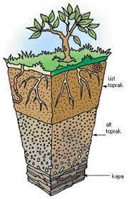 FARKLI TOPRAK TÜRLERİNİ ANLAMAK